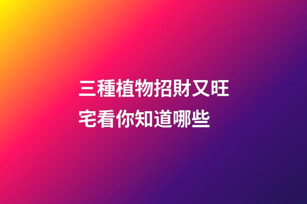 三種植物招財又旺宅看你知道哪些