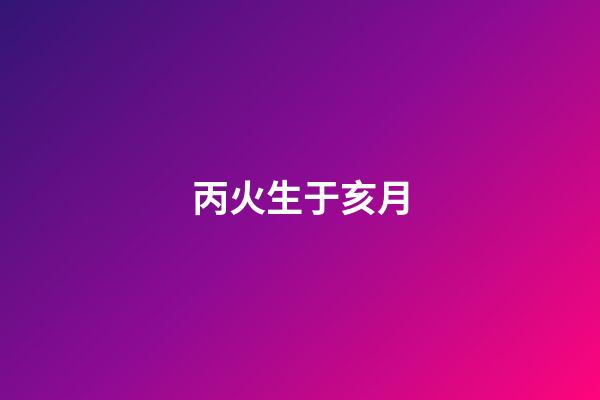 丙火生于亥月
