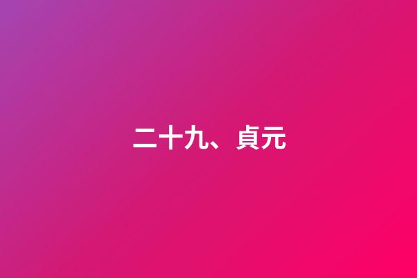 二十九、貞元