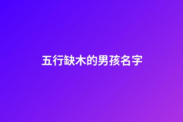 五行缺木的男孩名字