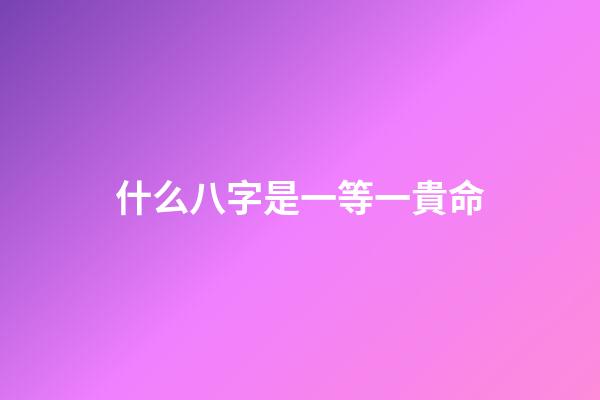 什么八字是一等一貴命