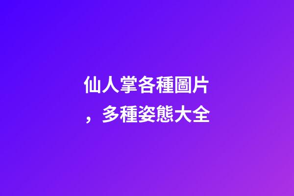 仙人掌各種圖片，多種姿態大全-第1張-觀點-玄機派