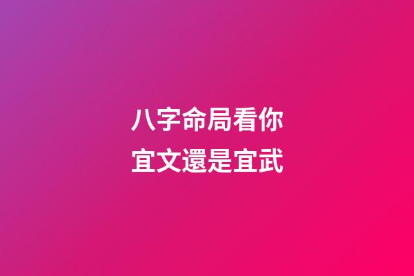 八字命局看你宜文還是宜武