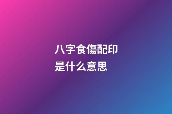 八字食傷配印是什么意思