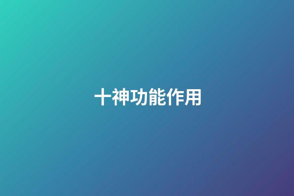 十神功能作用
