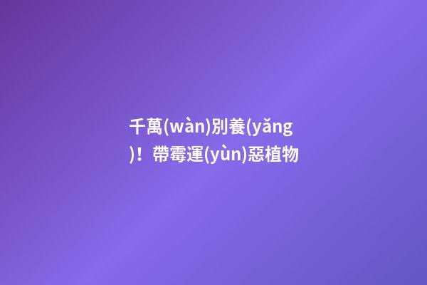 千萬(wàn)別養(yǎng)！帶霉運(yùn)惡植物