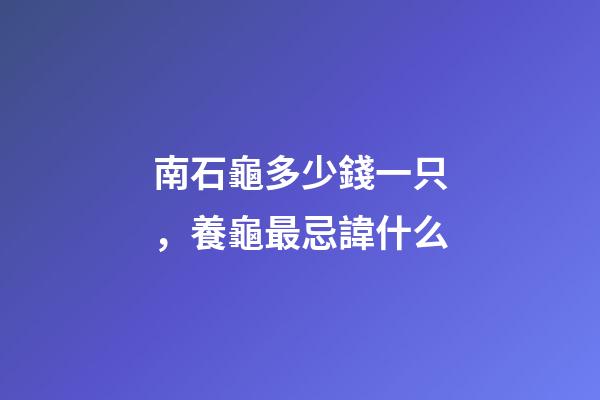 南石龜多少錢一只，養龜最忌諱什么-第1張-觀點-玄機派