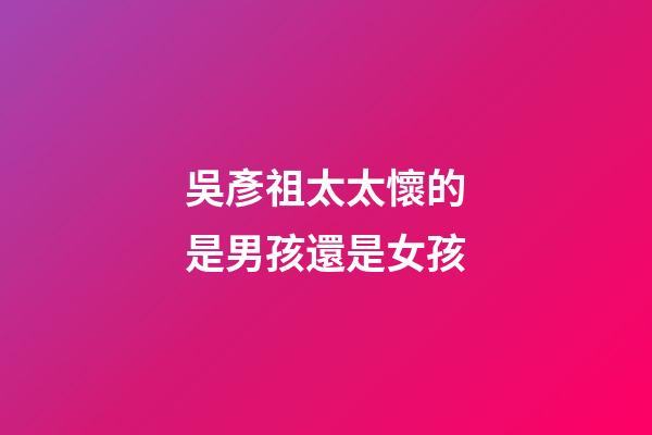 吳彥祖太太懷的是男孩還是女孩