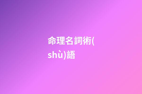 命理名詞術(shù)語