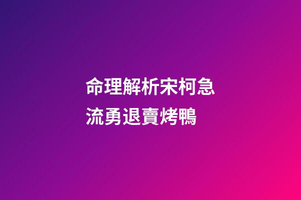 命理解析宋柯急流勇退賣烤鴨