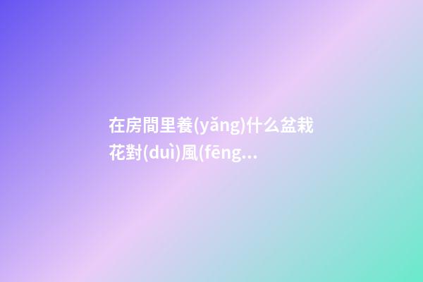 在房間里養(yǎng)什么盆栽花對(duì)風(fēng)水好