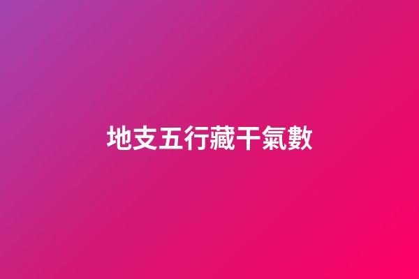 地支五行藏干氣數
