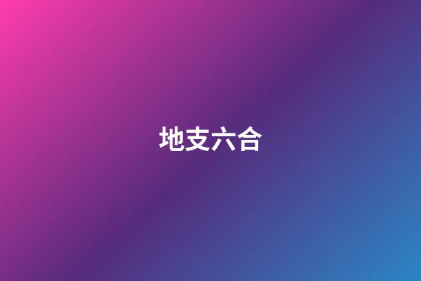地支六合