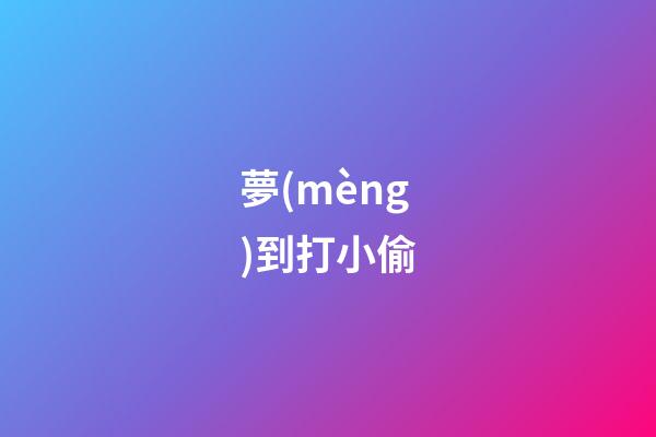 夢(mèng)到打小偷
