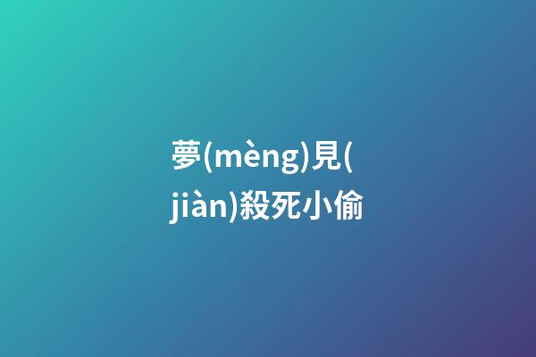 夢(mèng)見(jiàn)殺死小偷