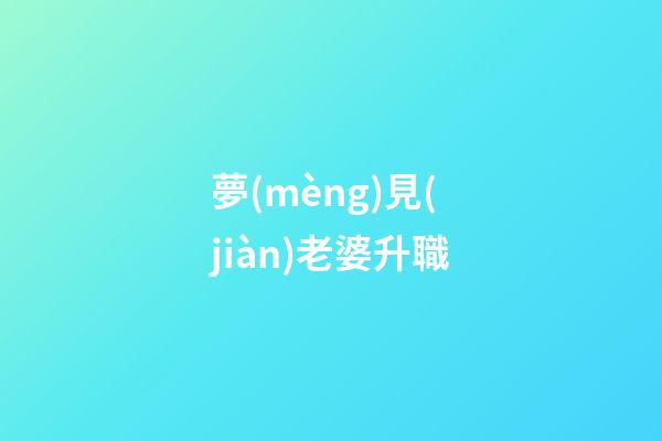 夢(mèng)見(jiàn)老婆升職