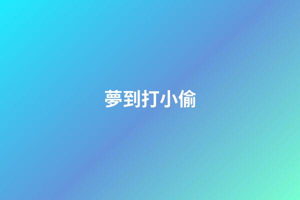 夢到打小偷