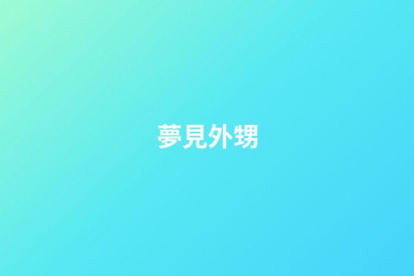 夢見外甥