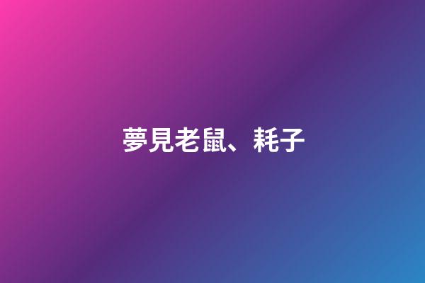 夢見老鼠、耗子