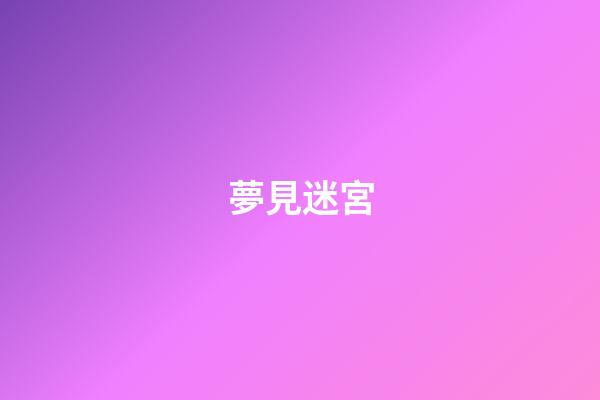 夢見迷宮