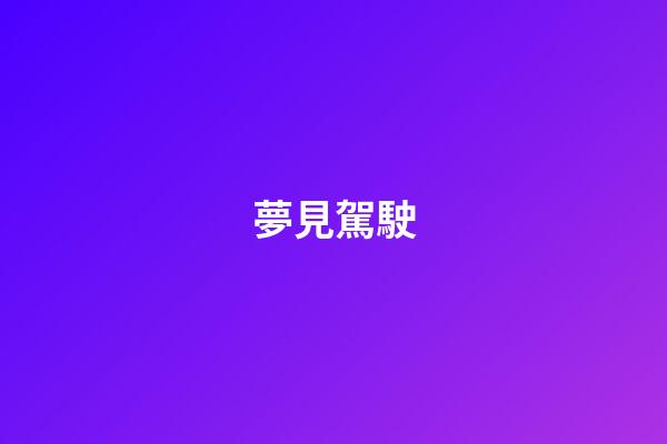 夢見駕駛