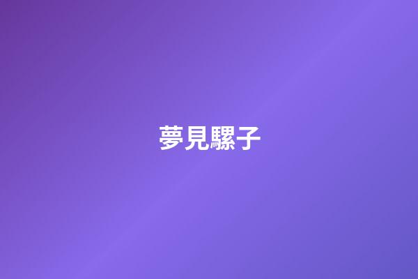 夢見騾子