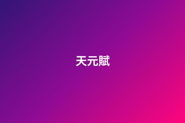天元賦