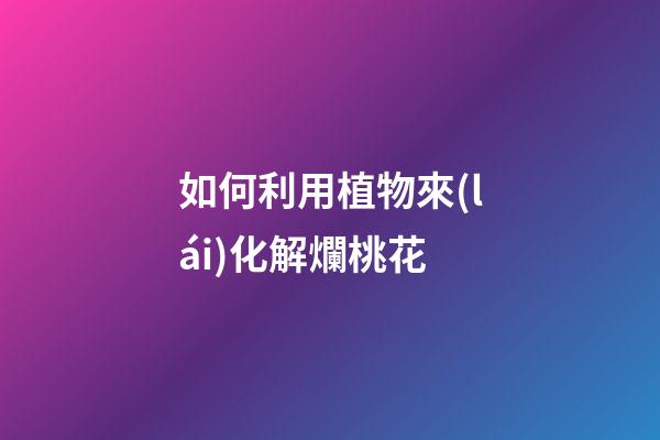 如何利用植物來(lái)化解爛桃花