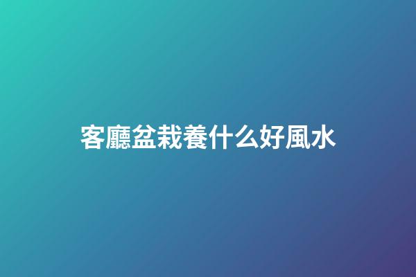 客廳盆栽養什么好風水