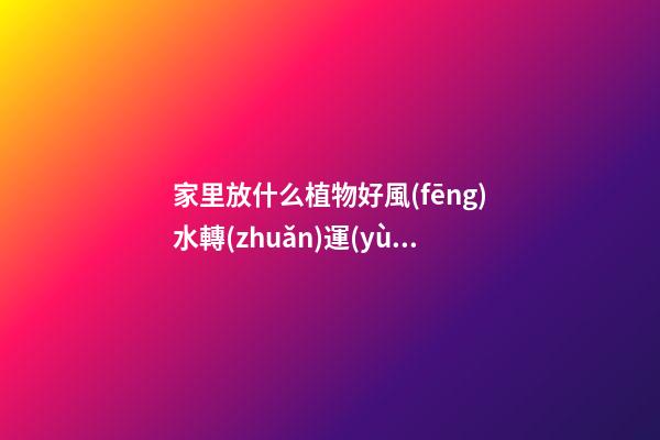 家里放什么植物好風(fēng)水轉(zhuǎn)運(yùn)，觀賞價(jià)值高還容易養(yǎng)護(hù)的綠植-第1張-觀點(diǎn)-玄機(jī)派
