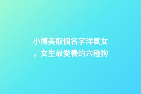 小博美取個名字洋氣女，女生最愛養的六種狗-第1張-觀點-玄機派