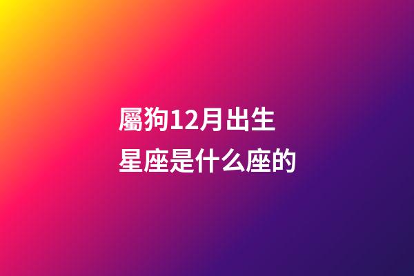 屬狗12月出生星座是什么座的