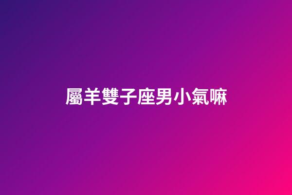 屬羊雙子座男小氣嘛