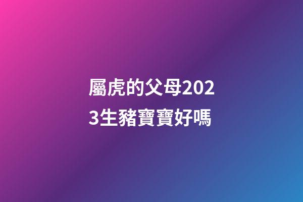 屬虎的父母2023生豬寶寶好嗎