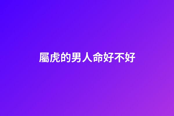 屬虎的男人命好不好
