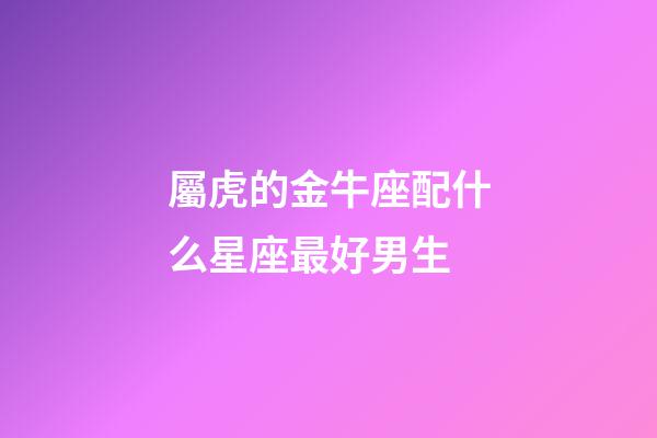 屬虎的金牛座配什么星座最好男生-第1張-星座運勢-玄機派