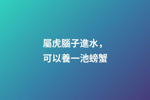 屬虎腦子進水，可以養一池螃蟹
