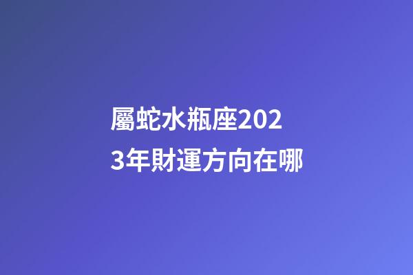 屬蛇水瓶座2023年財運方向在哪