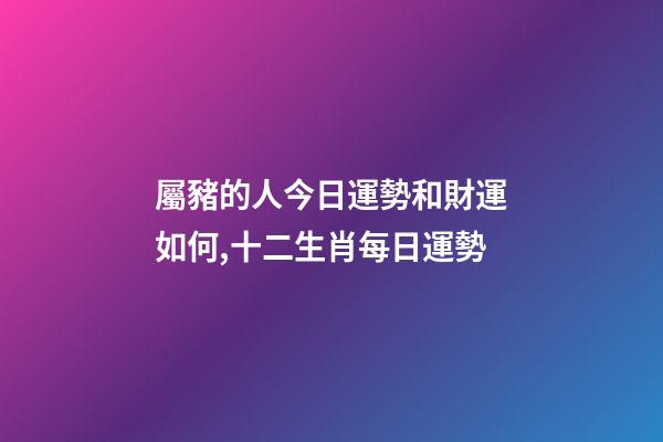 屬豬的人今日運勢和財運如何,十二生肖每日運勢-第1張-觀點-玄機派