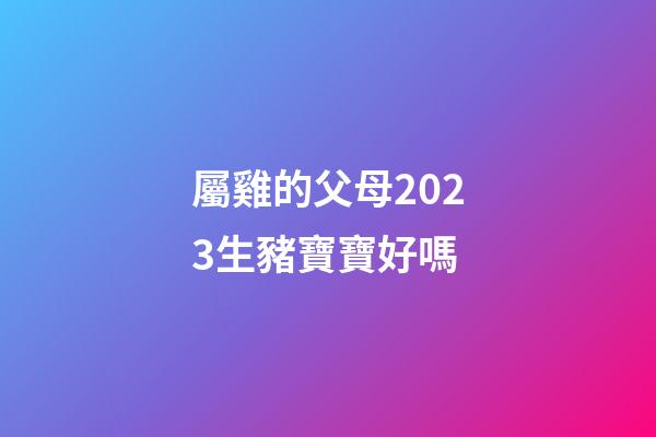 屬雞的父母2023生豬寶寶好嗎