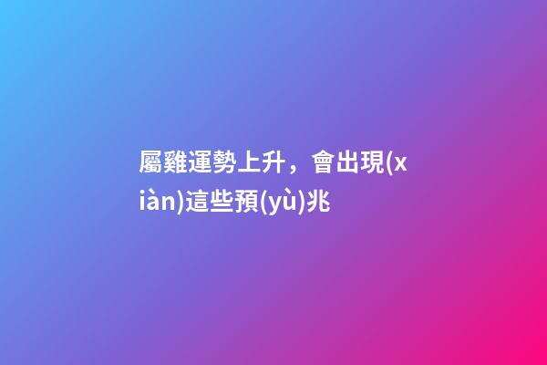 屬雞運勢上升，會出現(xiàn)這些預(yù)兆