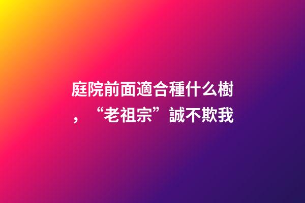 庭院前面適合種什么樹，“老祖宗”誠不欺我-第1張-觀點-玄機派