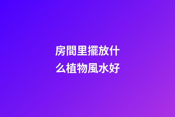 房間里擺放什么植物風水好
