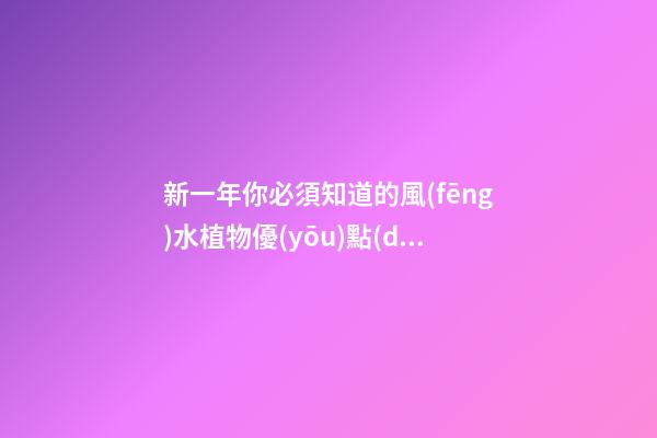 新一年你必須知道的風(fēng)水植物優(yōu)點(diǎn)