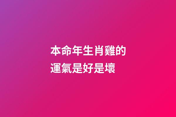 本命年生肖雞的運氣是好是壞