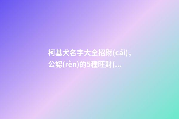 柯基犬名字大全招財(cái)，公認(rèn)的5種旺財(cái)狗-第1張-觀點(diǎn)-玄機(jī)派
