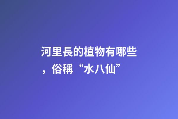 河里長的植物有哪些，俗稱“水八仙”-第1張-觀點-玄機派