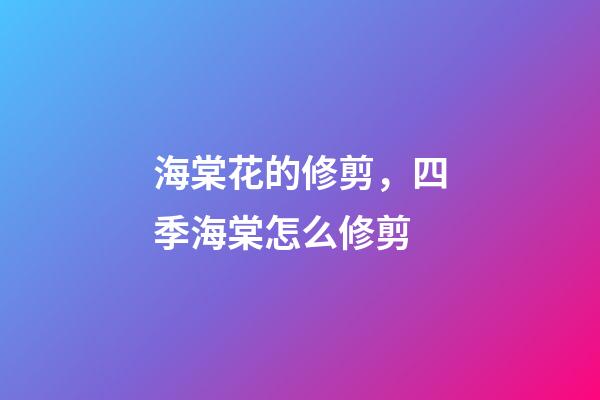 海棠花的修剪，四季海棠怎么修剪-第1張-觀點(diǎn)-玄機(jī)派