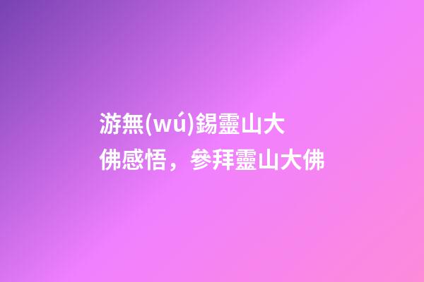 游無(wú)錫靈山大佛感悟，參拜靈山大佛-第1張-觀點(diǎn)-玄機(jī)派