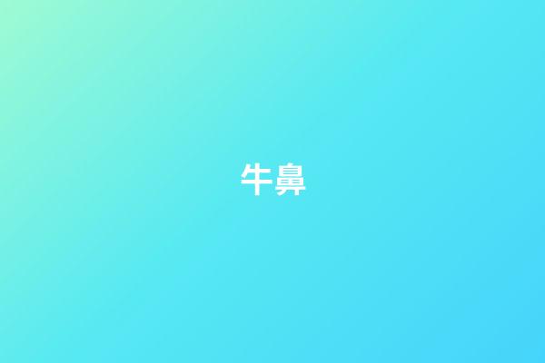 牛鼻